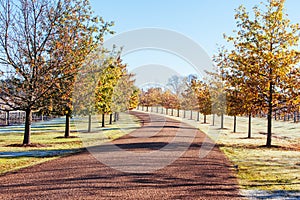 Foggy Yarra Valley During Winter in Australia