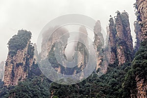 Foggy Zhangjiajie