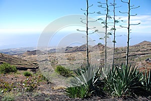 Fogo crater volcano - Cabo Verde - Africa photo
