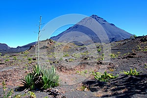 Fogo volcano on Fogo Island, Cape Verde - Africa photo