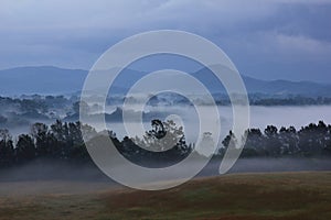 Fogy autumn morning in New South Wales photo