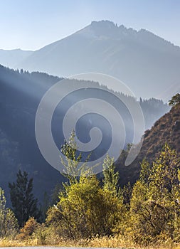 Fogy morning in the mountains