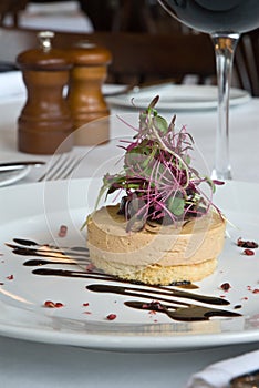 Foie gras appetizer