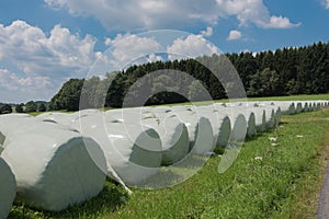 Foiled straw as animal food lying on the meadow