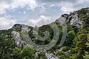 Folded layers rock formations in Risnjak, Croatian national park.