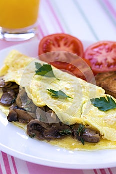 Folded mushrooms silky omelette