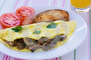 Folded mushrooms silky omelette