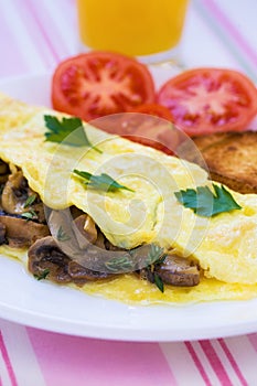 Folded mushrooms silky omelette