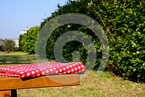 Folded red and white checkered tablecloth on wooden picnic table in park