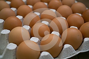 Folded in a row of eggs on a tray with brown shell