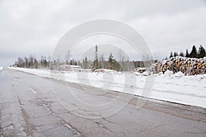 Folded trees lie on the snow