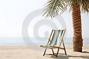 Folding deck chair in vintage style and palm tree with green leaves on a tropical beach