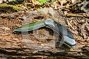 Folding knife on the old tree trunk