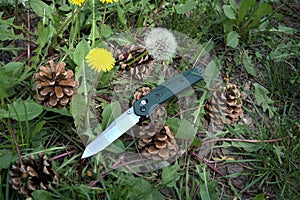 Folding knife silver cutting stainless edge green handle a lot grass dry pine cone white yellow dandelion macro background