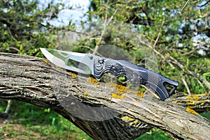Folding knife stainless steel blade blue handle hunting equipment garden brown wood green grass nature background