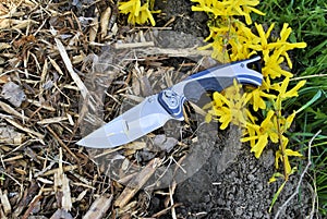 Folding knife stainless steel blade blue handle hunting equipment garden brown wood green grass nature background