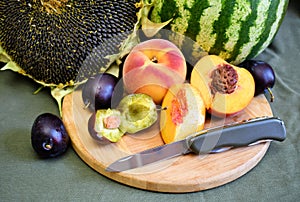 Folding knife stainless steel blade and fresh organic ripe peaches plums watermlon sunflower natural gourmet product dessert woode