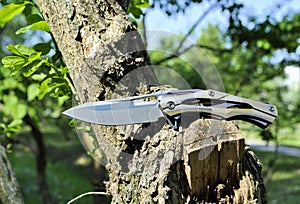 Folding knife stainless steel blade gray aluminum handle green leaves dry stump nature still life background