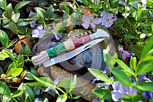 Folding knife stainless steel blade wood handle black leather pouch blue flowers green leaves background