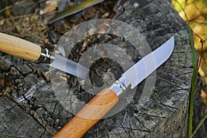A folding knife with a wooden handle.