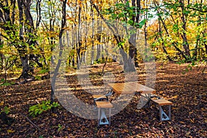 Folding picnic table in the autumn forest