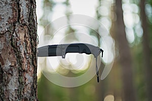 Folding tactical knife stuck in a pine tree in the forest