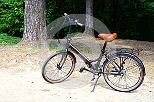 Folding walking women`s bike