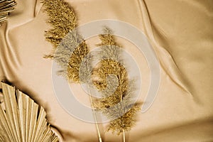 On the folds of the beige fabric are branches of reeds and dry palm leaves. Natural and fashionable colors