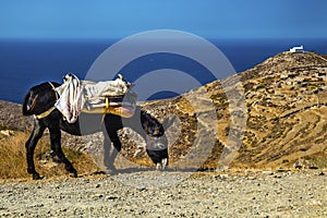 Folegandros island  rural landscape