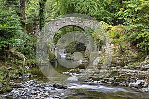 Foley\'s Bridge