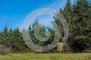 Folf field basket in the forest