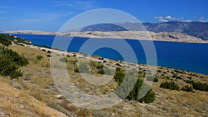 Foliage on arid Pag island in forefront, landscape of central Pag bay near Saint Maria beach in background