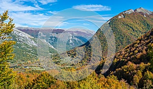 Foliage in autumn season at Forca d`Acero, in the Abruzzo and Molise National Park. Italy.