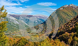 Foliage in autumn season at Forca d`Acero, in the Abruzzo and Molise National Park. Italy. photo