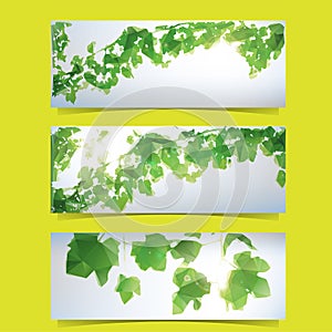 Foliage Banner Set