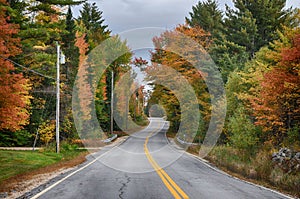 Foliage at Evans Notch