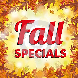 Foliage Fall Specials photo