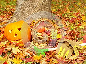 Foliage, gardening gloves, rakes,fruits and torch