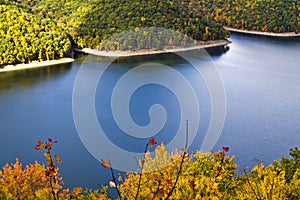 Foliage, lake, trees