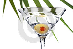 Foliage Martini