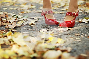 Foliage and red shoes