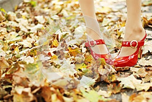 Foliage and red shoes