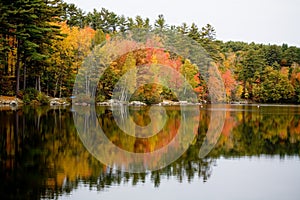 Foliage reflected in Lake