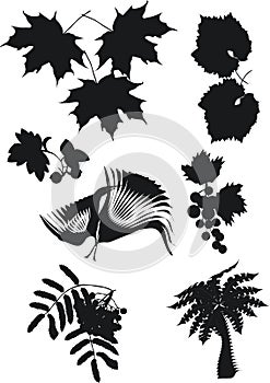 Foliage silhouette collection