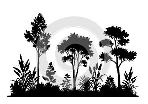 Foliage silhouette photo