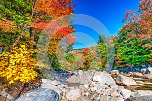 Foliage tree colors in Conway, New Hampshire, New England - USA in autumn season