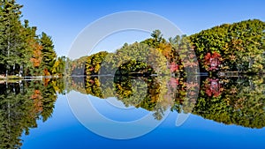 Foliage in Wachusett Mount - MA
