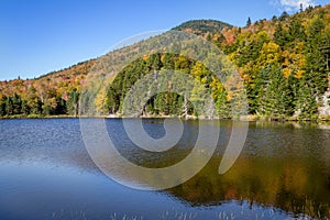 Foliage in the White Mountains National Forest, New Hampshire, USA