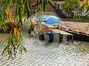 The willow foliage hanging over the river
