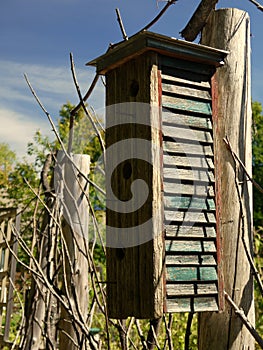 Folk art: bird house